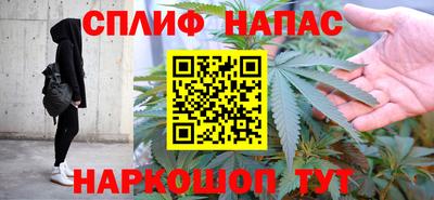 гидра Кингисепп