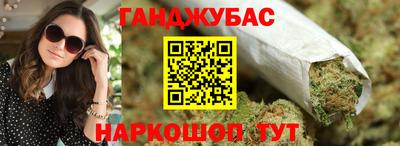 гидра Кингисепп
