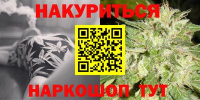 гидра Кингисепп