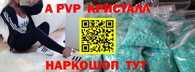 гидра Кингисепп