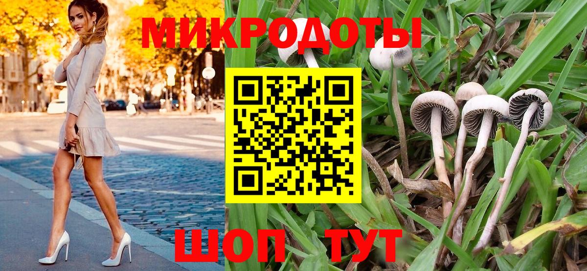 Галлюциногенные грибы Psilocybine cubensis  Галлюциногенные грибы Psilocybe  Искитим  Вход с VPN 