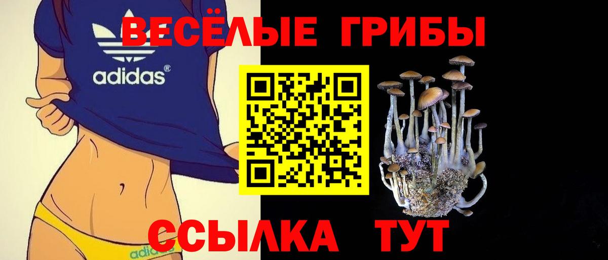 Псилоцибиновые грибы Psilocybine cubensis Искитим